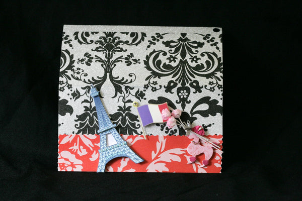 Checkbook Cover Handmade Clear Vinyl Paris France Design - Cyndy Love Designs